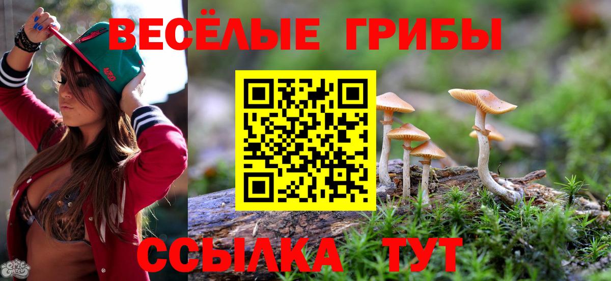 Бугуруслан  Псилоцибиновые грибы Cubensis  купить наркоту  Вход с VPN 